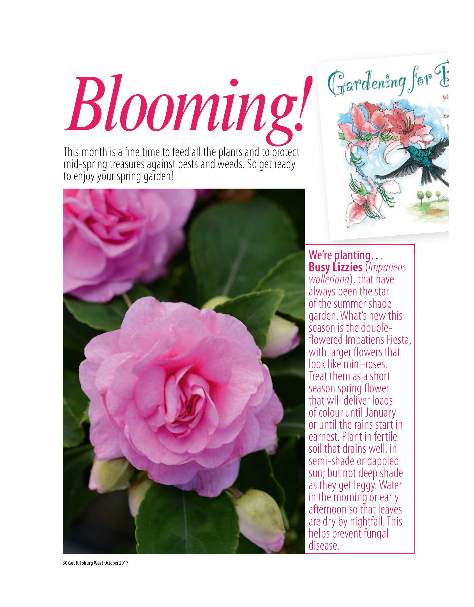 Get JHB West – October 2017 page 30