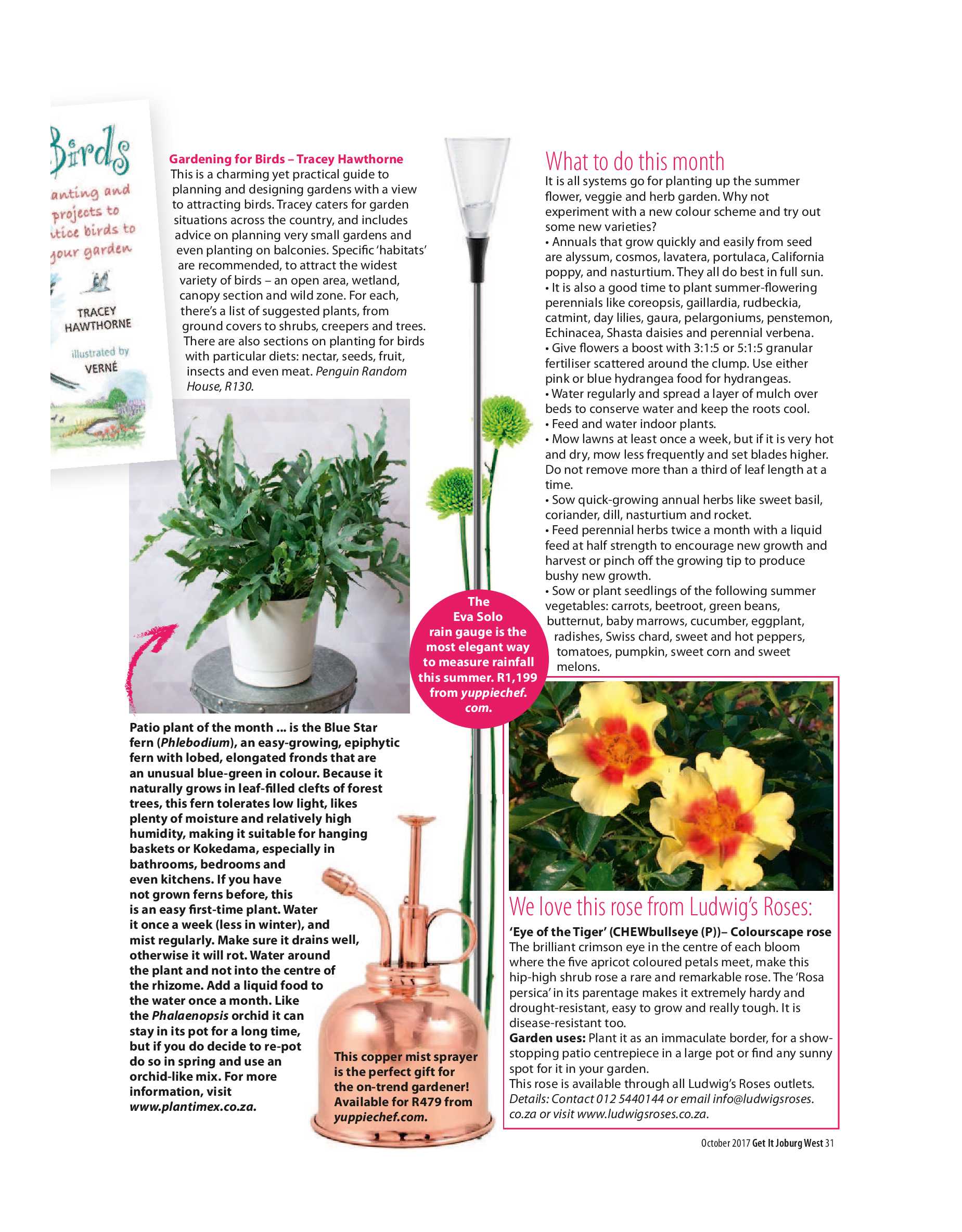 Get JHB West – October 2017 page 31