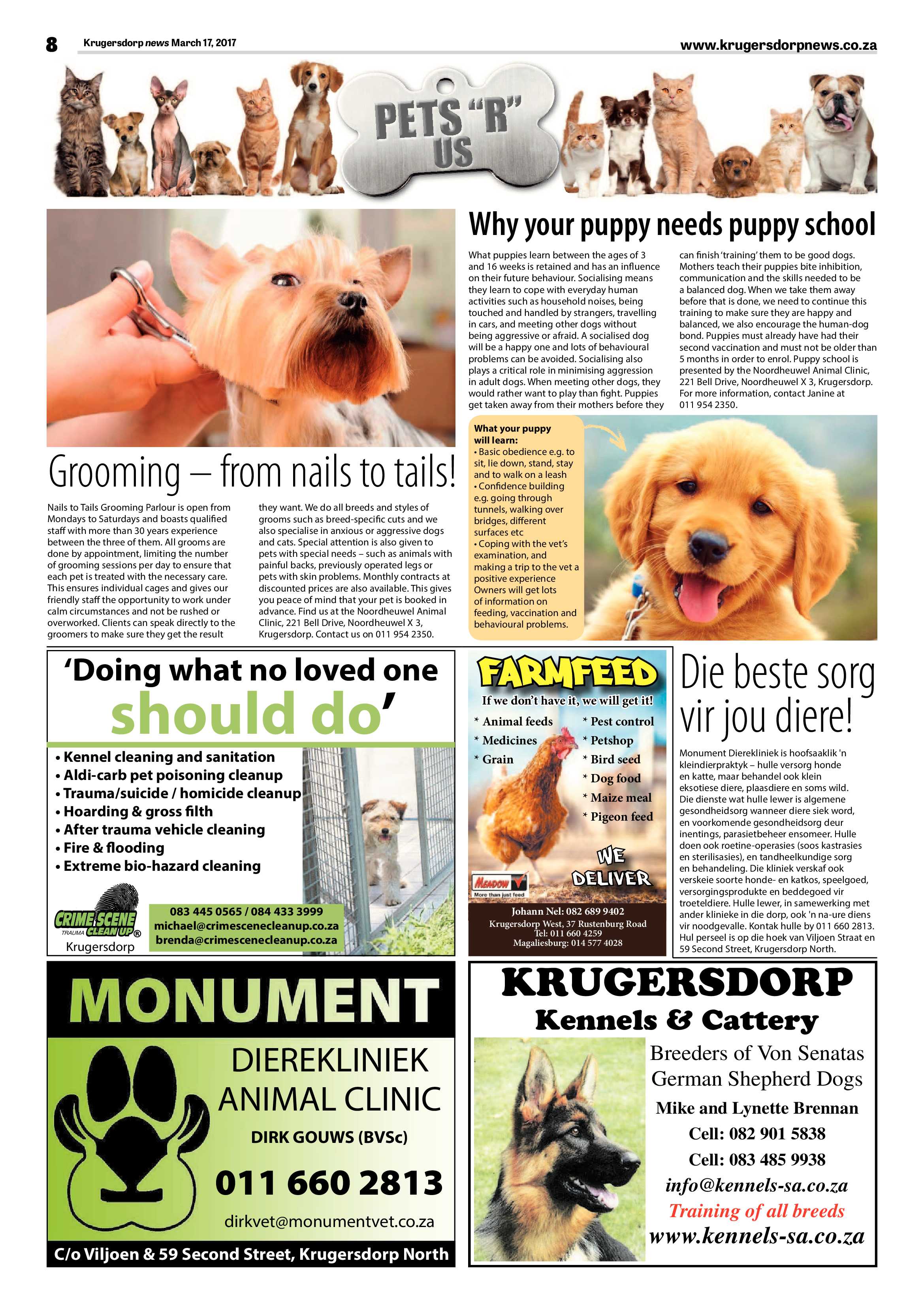 Krugersdorp News 17 March 2017 page 8