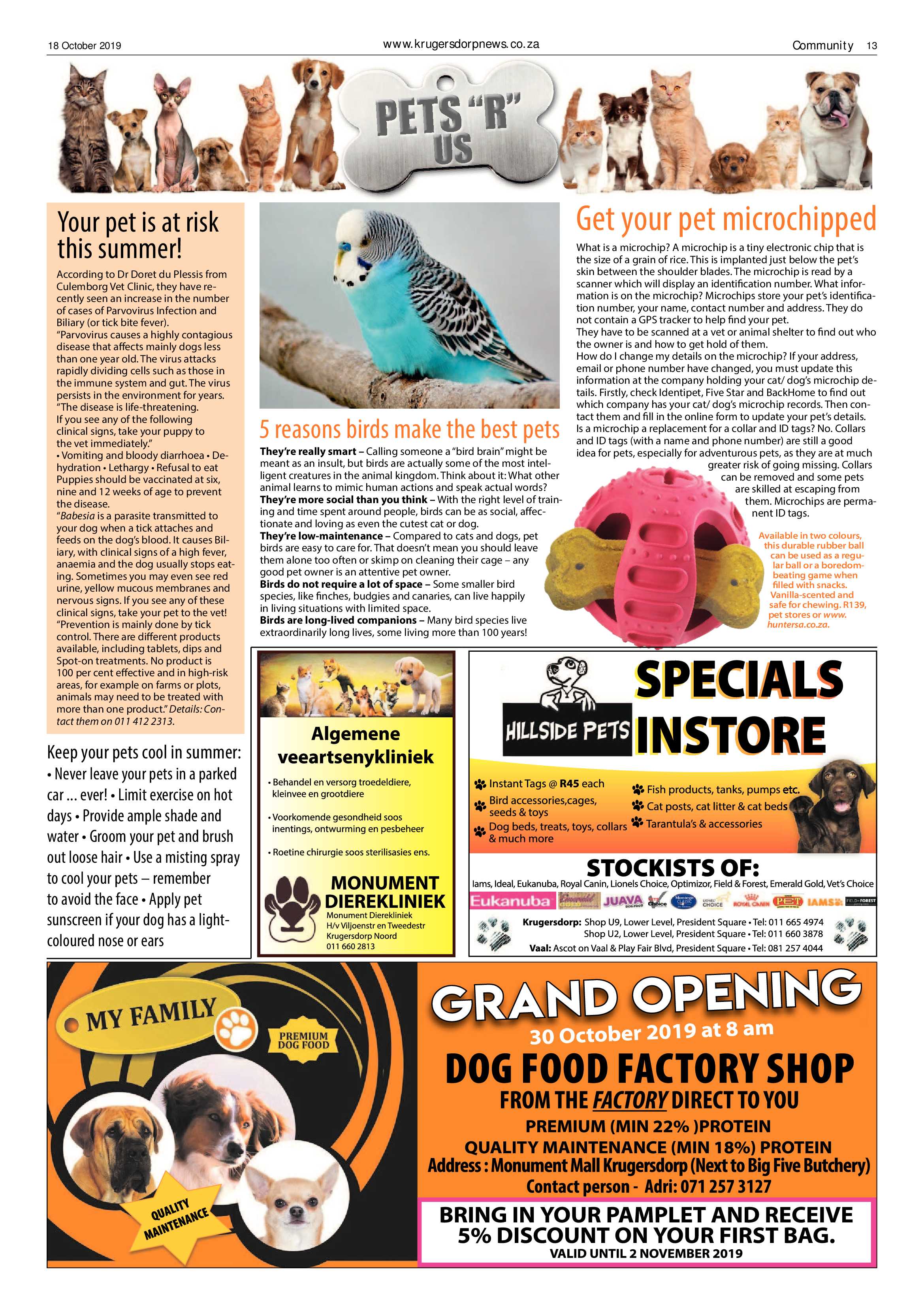 Krugersdorp News 18 October 2019 page 13