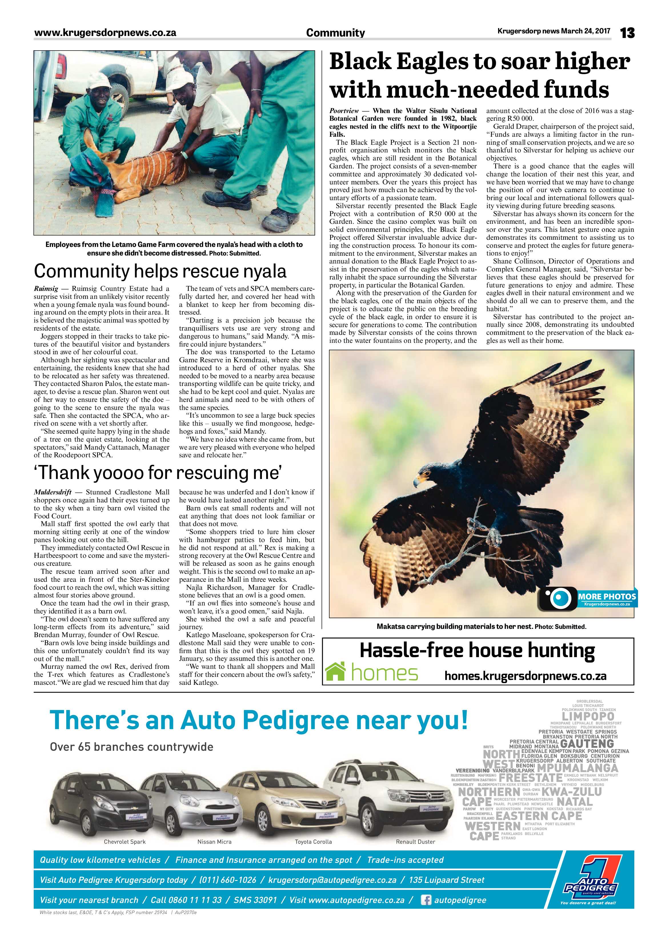 Krugersdorp News 24 March 2017 page 13